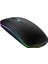 Ekru Kablosuz Wireless 2.4g Bluetooth Sessiz Mouse Şarj Edilebilir Ergonomik Tasarımlı Rgb Renkli 8