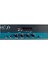 Tepe Sound Icon-51 Trafolu Amplifikatör 1