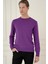 Tr 875 Slim Fit Mor Klasik Triko 3