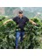 Colombia El Progreso Carbonic Maceration 2