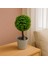 Dekoratif Mini Yapay Topiary – Plastik Saksılı – 10*10*20 cm 1
