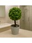 Dekoratif Mini Yapay Topiary – Plastik Saksılı – 10*10*20 cm 2