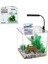 Masasüstü Akvaryum Seti 13,5 L Küp Nrmsa 1