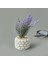 Mini Saksıda Lavanta - Asorti - 10X5X5 cm 2