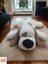 75 Cm Ekru Yatan Sevimli Peluş Köpek & Uyku Arkadaşı & Oyuncak 3