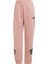 Sportswear JE0160 Future Icons 3-Stripes Pants 3