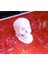 Yazdırılabilir Insan Kafatası Kalem Topper (Sadece Plastik Aparattır!!!) 3D 3