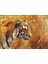 Cakapuzzle Bengal Kaplanı 120 Parça Puzzle Yapboz Mdf (Ahşap) 1
