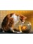 Fanustaki Balık ve Izleyen Kedi 120 Parça Puzzle Yapboz Mdf (Ahşap) 1