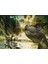 Cakapuzzle Tyrannosaurus Rex ve Raptor Nehir Kenarında 255 Parça Puzzle Yapboz Mdf (Ahşap) 1
