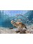 Cakapuzzle Sevimli Caretta ve Ton Balıkları 120 Parça Puzzle Yapboz Mdf (Ahşap) 1