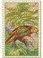 Kakapo Papağan Kuş Görseli 120 Parça Puzzle Yapboz Mdf (Ahşap) 1