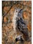 Gururlu Baykuş Görseli 120 Parça Puzzle Yapboz Mdf (Ahşap) 1