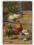 Kümeste Tavuklar ve Horoz Görseli 120 Parça Puzzle Yapboz Mdf (Ahşap) 1