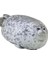 Oyuncak Bebek Uyku Çocuklar Için Yastık Hediyeleri Kızlar 30 cm Angry Blob Seal Yastığı Tombul 3D Deniz Aslan Bebeği Peluş Dolgsedcolor: Gri (Yurt Dışından) 1