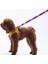 Rainbow Leash Gökkuşağı Desenli Kedi Köpek Sevk & Gezdirme Kayışı Köpek Uzatma Tasması 2