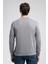Frose Erkek O Yaka Sweatshirt Gri 3