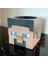 Minecraft Steve Tasarımlı Kalemlik - Koleksiyonluk Vip 2