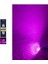 Purple Festoon Sofit 31MM LED Ampul 8 LED Mor ( Purple ) 1
