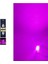 Purple Festoon Sofit 31MM LED Ampul 8 LED Mor ( Purple ) 2
