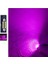 Purple Efestoon Sofit 39MM LED Ampul 10 LED Mor ( Purple ) 1