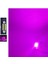 Purple Efestoon Sofit 39MM LED Ampul 10 LED Mor ( Purple ) 2
