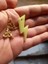 Karanlıkta Parlayan Fosforlu Şimşek Kolye Gold Renk Metal Zincirli 4