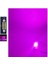 Purple Festoon Sofit 41MM LED Ampul 10 LED Mor ( Purple ) 2