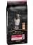 Medium Adult Steve Skin Somon 14Kg 1