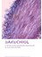 Hassas Ciltler İçin Bakuchiol İçeren Serum 30 ml 8