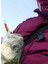 Sardin 20GR 60MM Jig Yem Kaşık Rapala -Levrek, Palamut, Lüfer, Çinekop, Turna Için En Iyi Uv Jig Yem 5