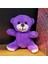 Peluş Oyuncak Ayıcık Mor 1