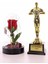 Yılın En Iyi Aşkı Oscar Ödülü ve LED Işıklı Fanus Gül Seti 2