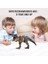Gerçekçi 32 cm 2’li Dinozor – Ağız Hareketli Oyuncak Dinozorlar 2