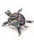 Deniz Kaplumbağası Anne Bebek Resif Metal Yaka Süsü Broş RZ437 2