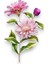 Gerbera Pembe Çiçekler Bahar Yaz Doğa Metal Yaka Süsü Broş RZ417 4