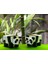 Minecraft Panda Hareketli Eklemli Figür 4