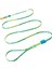 Long Leash Rayo Uzun Gezdirme Tasması - Zee.dog 2