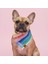 Isme Özel Köpek Bandana Isimli Köpek Fular Kişiselleştirilebilir Köpek Bandanası (Gökkuşağı Desenli) 2
