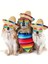 Kedi ve Köpek Için Cinco De Mayo Yazlık Meksika Kostüm Seti (Şapka, Gözlük ve Fular) 2