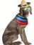 Kedi ve Köpek Için Cinco De Mayo Yazlık Meksika Kostüm Seti (Şapka, Gözlük ve Fular) 3