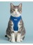 Kişiye Özel Kedi Gezdirme Tasması Airmesh Isimli Kedi Göğüs Tasması Esnek Kedi Tasması 1