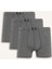Regular Fit 3'lü Boxer F7420AX25AU 1