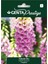 Yüksük Otu Tohumu (Digitalis Purpurea – Foxglove) – Uzun Boylu, Renkli Çiçekli Bahçe Bitkisi 1