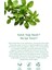 Kekik Yağı %100 Saf - Güçlü Arınma, Derin Korumu ve Doğal Denge Serum 20 ml 5
