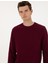 Erkek Bordo Regular Fit Sweatshirt 50311649-VR177 2