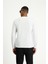 Bisiklet Yaka Regular Fit Pamuklu Sweatshirt 5