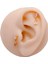 Cerrrahi Çelik Piercing ( Pirsing ) Zirkon Kalp Sallantılı Ay Tragus Helix Piercing (1ADET 2