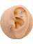 Cerrrahi Çelik Piercing ( Pirsing ) Zirkon Kalp Sallantılı Ay Tragus Helix Piercing (1ADET 2