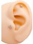 Cerrrahi Çelik Piercing ( Pirsing ) Mini Kuzey Yıldızı Tragus Helix Piercing (1ADET) 1